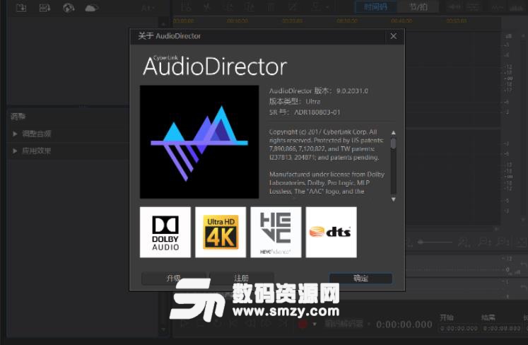 Audiodirector 9破解版