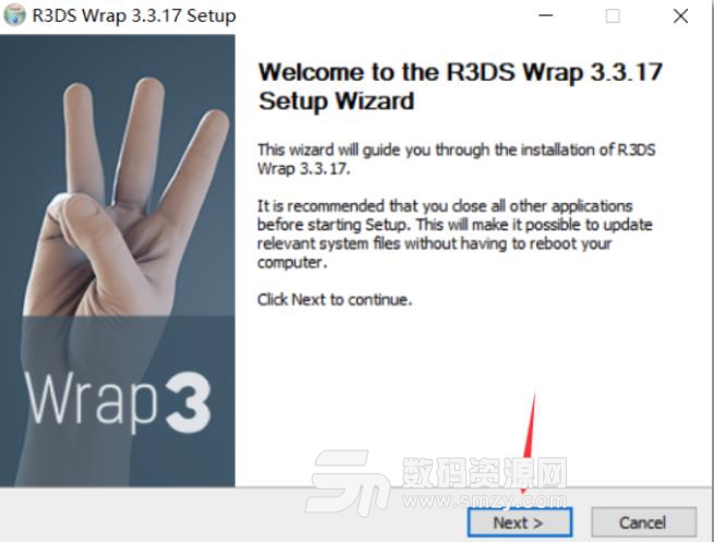 R3DS Wrap破解版