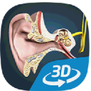 耳朵和听力机制手机版(3D互动教学) v1.6 安卓版