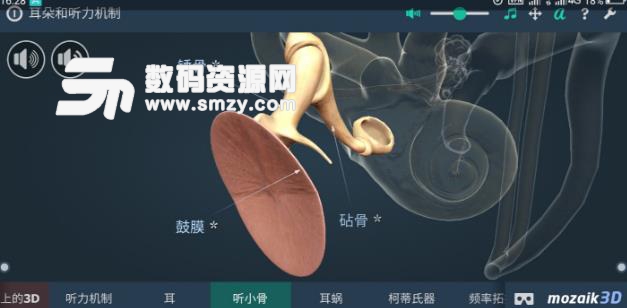 耳朵和听力机制手机版(3D互动教学) v1.6 安卓版