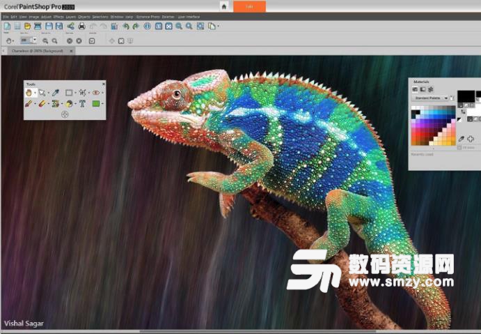 Corel PaintShop Pro2019破解版