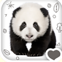 野生熊猫安卓版(最新游戏资讯攻略) v1.1.0 手机正式版