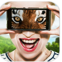 视觉动物模拟器手机版(动物视觉模拟) v1.3 安卓版