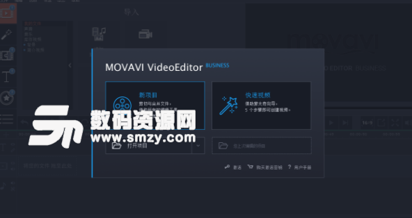 Movavi Video Editor Business完美版