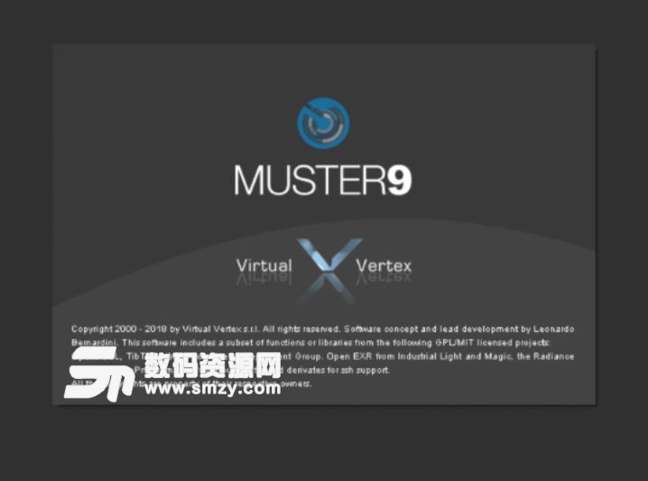 Virtual Vertex Muster 9特别版