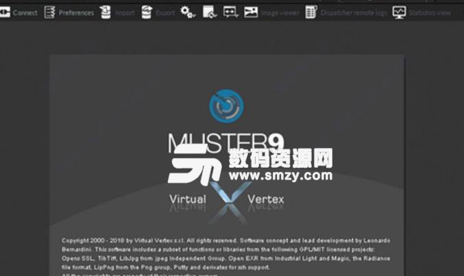 Virtual Vertex Muster正式版
