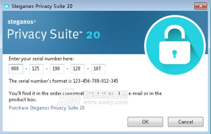 Steganos Privacy Suite注册版