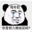 熊猫人梅有乾表情包高清版