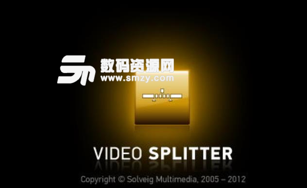 SolveigMM Video Splitter支持格式介绍