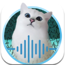 Cat Phrasebook手机版(猫咪翻译模拟器) v1.1安卓版