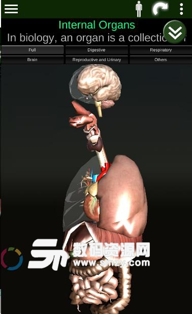 器官3D安卓版(Organs 3D) v2.0.1 手机版