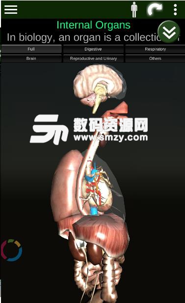 器官3D安卓版(Organs 3D) v2.0.1 手机版