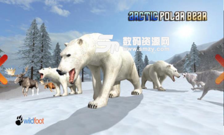 动物生存模拟器之北极熊手游(体验大自然的残酷) v1.1 安卓版