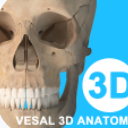 维萨里3D解剖app苹果版(解剖学习软件) v2.7 手机ios版