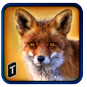 野生狐狸冒险安卓版(模拟狐狸冒险) v1.1 手机版