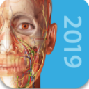 human Anatomy Atlas 2019安卓版