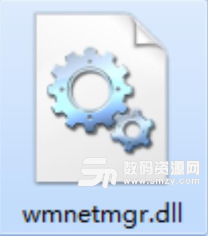 wmnetmgr.dll文件