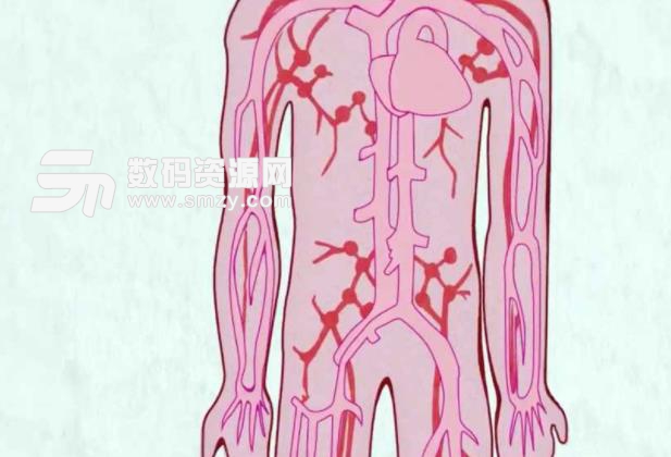 永远的工作细胞中文版手游(工作细胞动漫改编) 安卓版