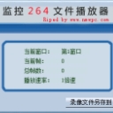 監控264文件播放器