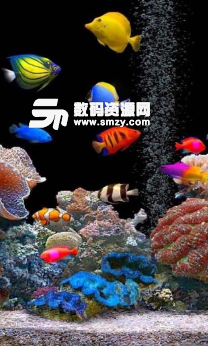 4D Underwater World LWP安卓版(手机4D动态壁纸) v1.1 免费版
