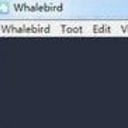 Whalebird最新版