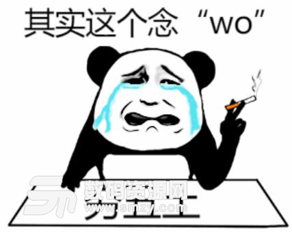 年度汉字qiou字念wo