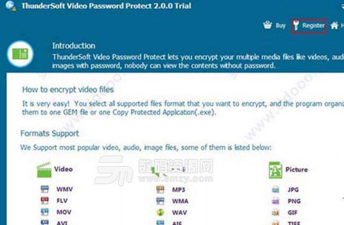 ThunderSoft Video Password Protect免费版