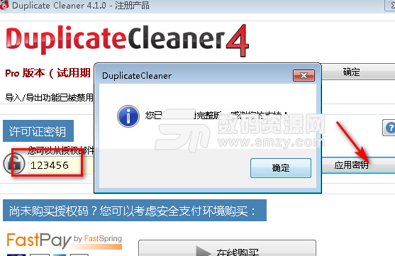Duplicate Cleaner Pro完美版截图