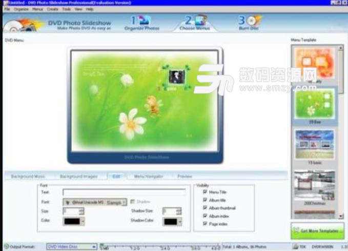 DVD Photo Slideshow Pro免费版截图