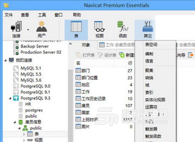 navicat premium最新绿色版