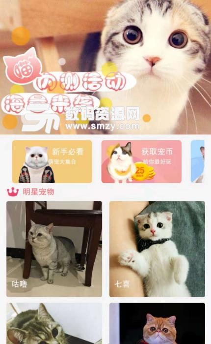 猫咪汇安卓版(如何饲养猫咪) v1.2.28 最新版