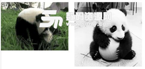 国宝大熊猫表情包