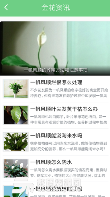 巾花资讯app手机版(植物资讯) v1.0 安卓版