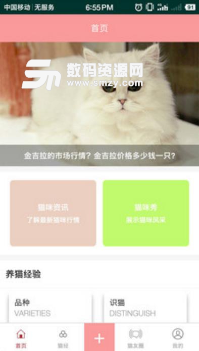 爱猫咪app(喵星人的相关资讯) v1.4 安卓版