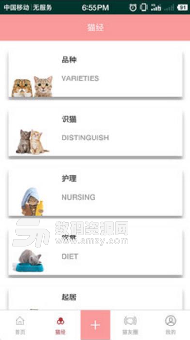 爱猫咪app(喵星人的相关资讯) v1.4 安卓版