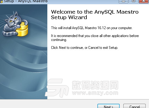 AnySQL Maestro Pro完美版截图