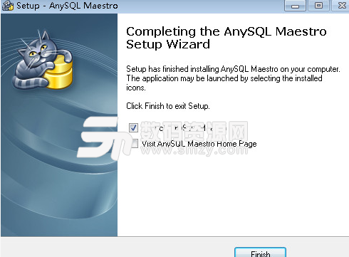 AnySQL Maestro Pro完美版特色