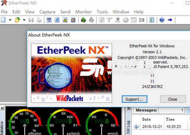 EtherPeek NX绿色特别版