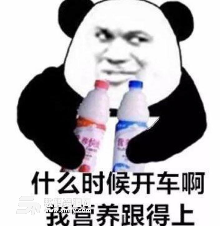 熊猫包营养快线表情包下载