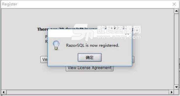 RazorSQL电脑版