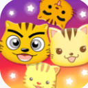 星猫广场app苹果版(快乐星猫粉丝的家) v1.10 ios手机版