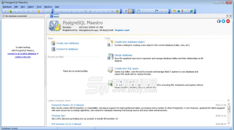 PostgreSQL Maestro Professional特别版下载