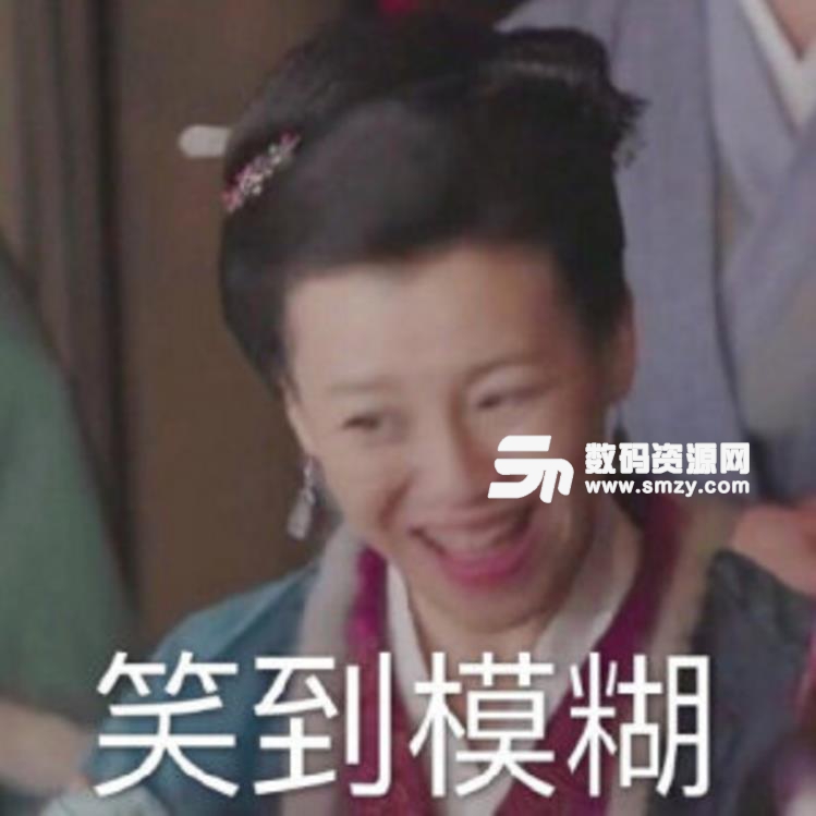 知否大娘子表情包截圖