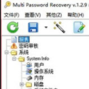Multi Password Recovery免费版