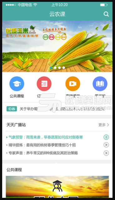 云农课手机版(在线学习app) v1.1 安卓版