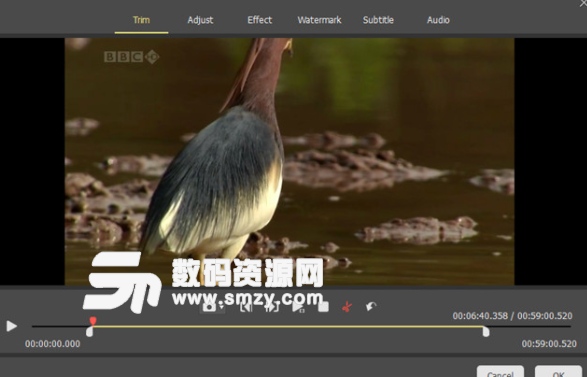 Joyoshare Media Cutter特别版