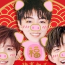 TFboys三只小猪表情包