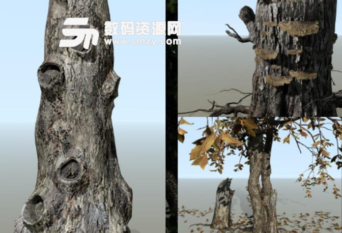 Speedtree For Lumberyard免費版