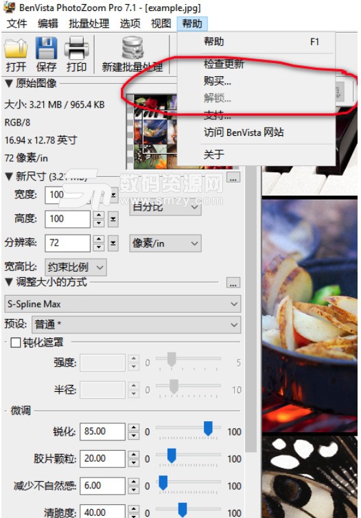 photozoom pro 7 激活码