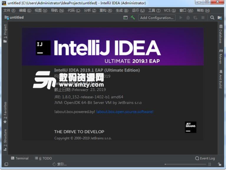 IntelliJ IDEA2019特别版